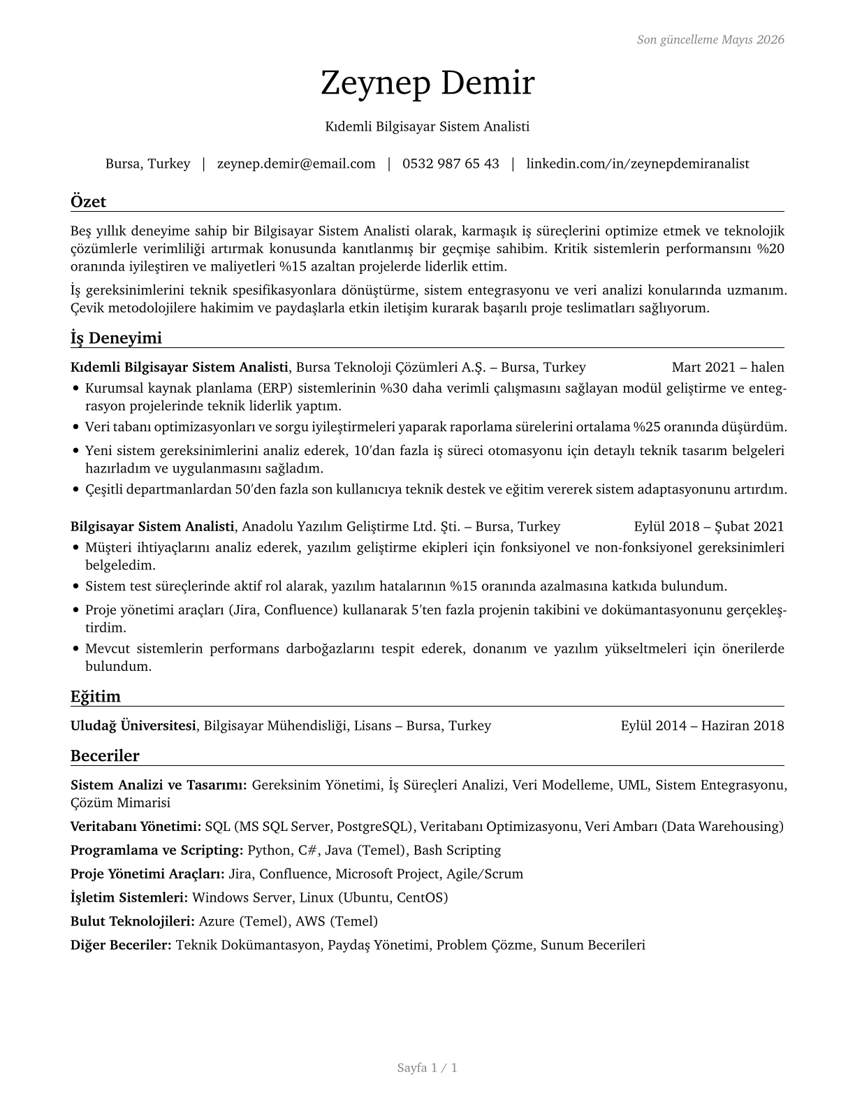 Computer Systems Analysts CV in Turkish — page 1