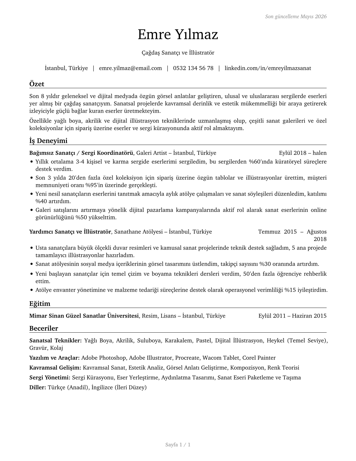 Fine Artists, Including Painters, Sculptors, and Illustrators CV in Turkish — page 1