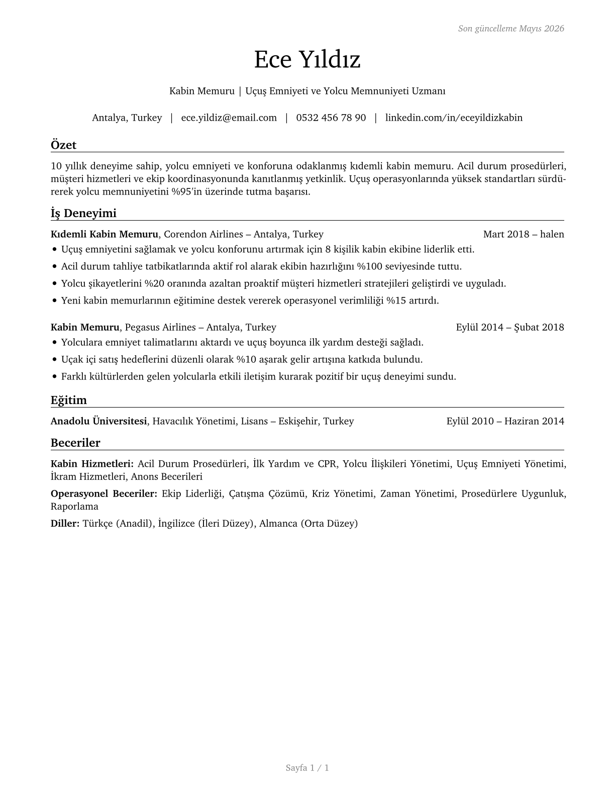 Air Crew Officers CV in Turkish — page 1