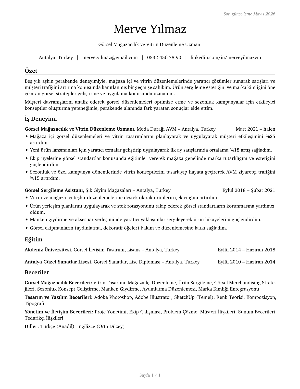 Merchandise Displayers and Window Trimmers CV in Turkish — page 1