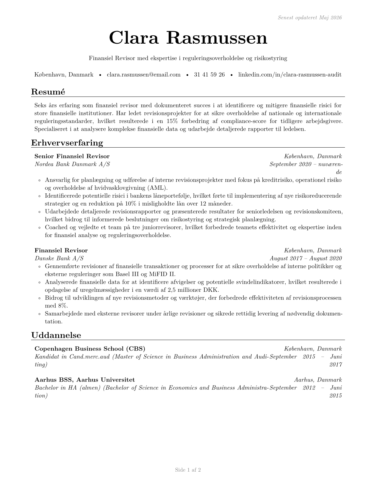 Financial Examiners CV in Danish — page 1
