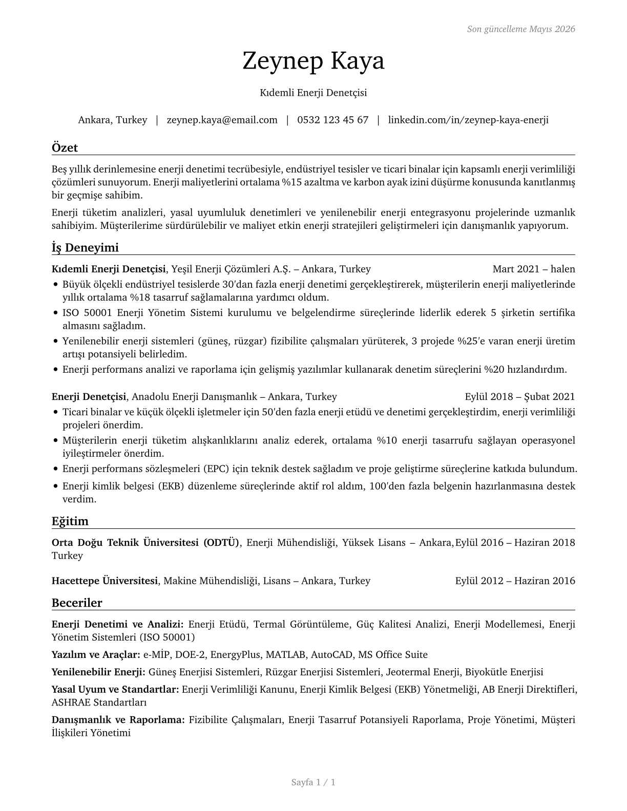 Energy Auditors CV in Turkish — page 1