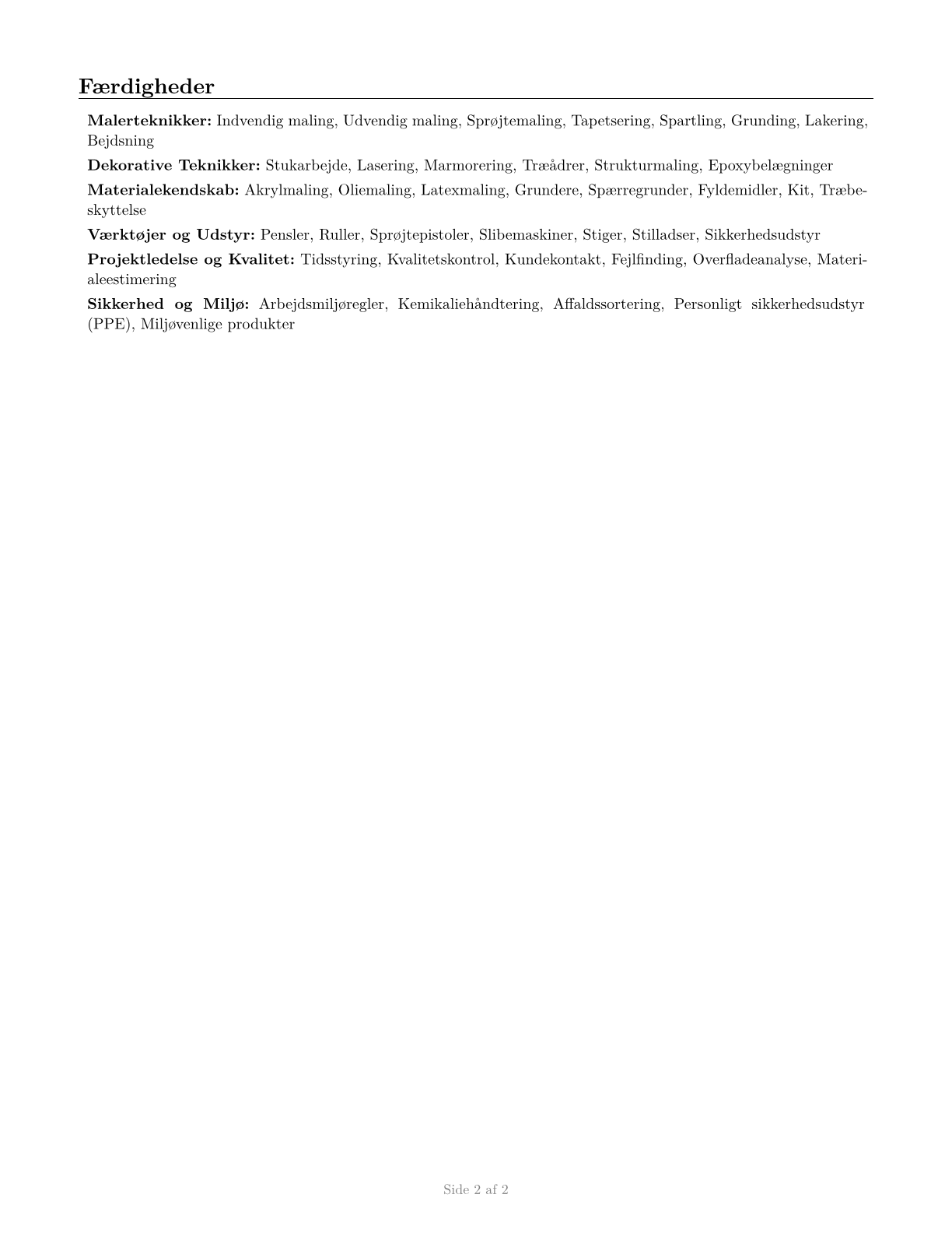 Painting, Coating, and Decorating Workers CV in Danish — page 2