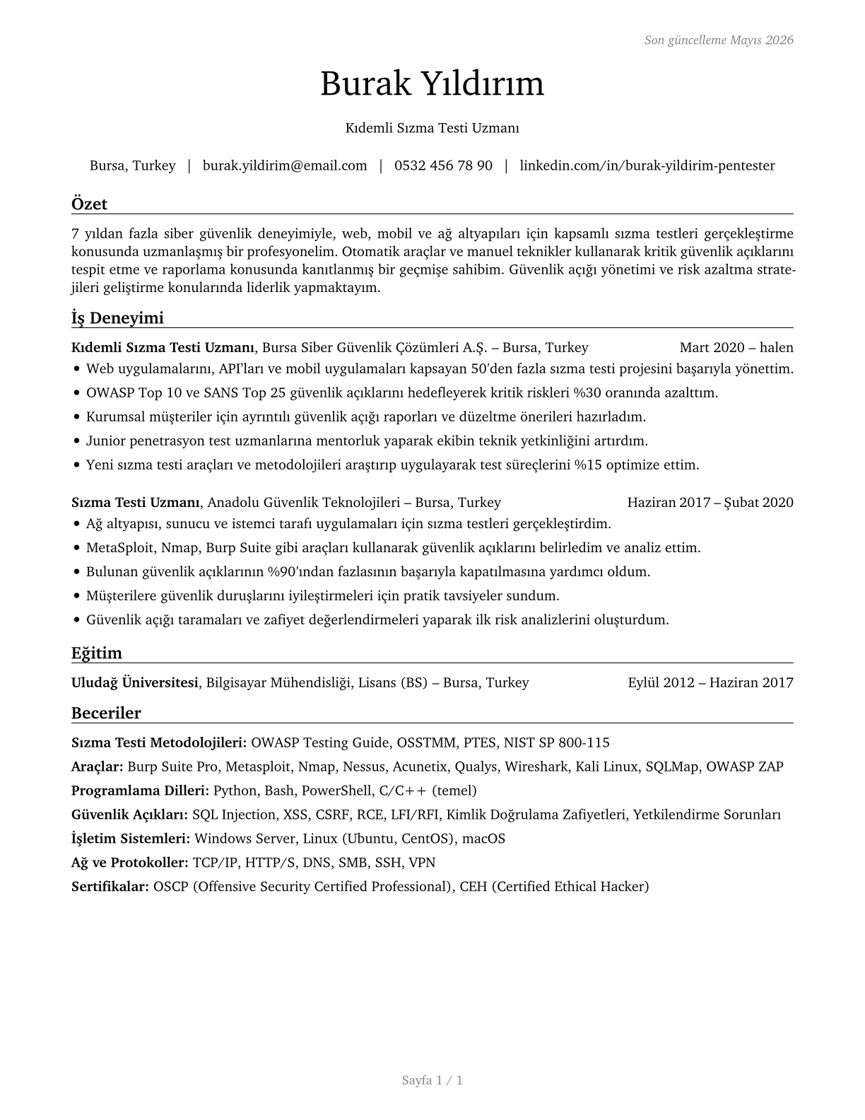 Penetration Testers CV in Turkish — page 1