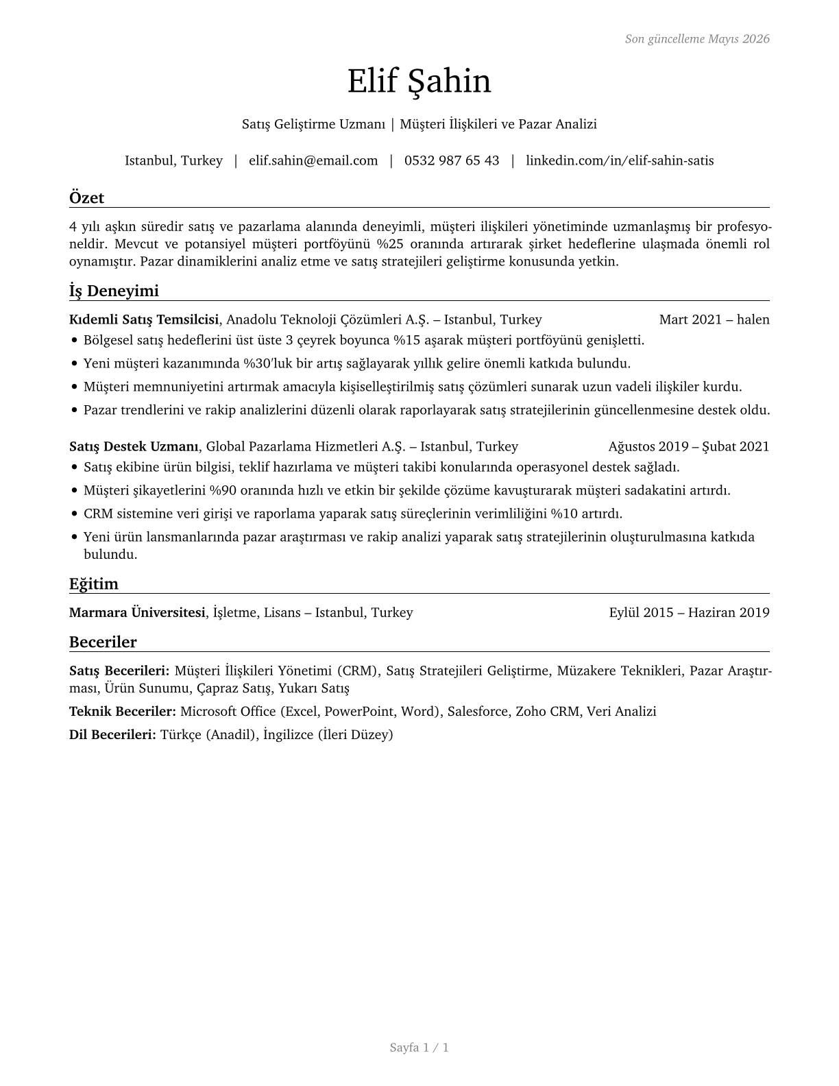 Sales and Related Workers, All Other CV in Turkish — page 1
