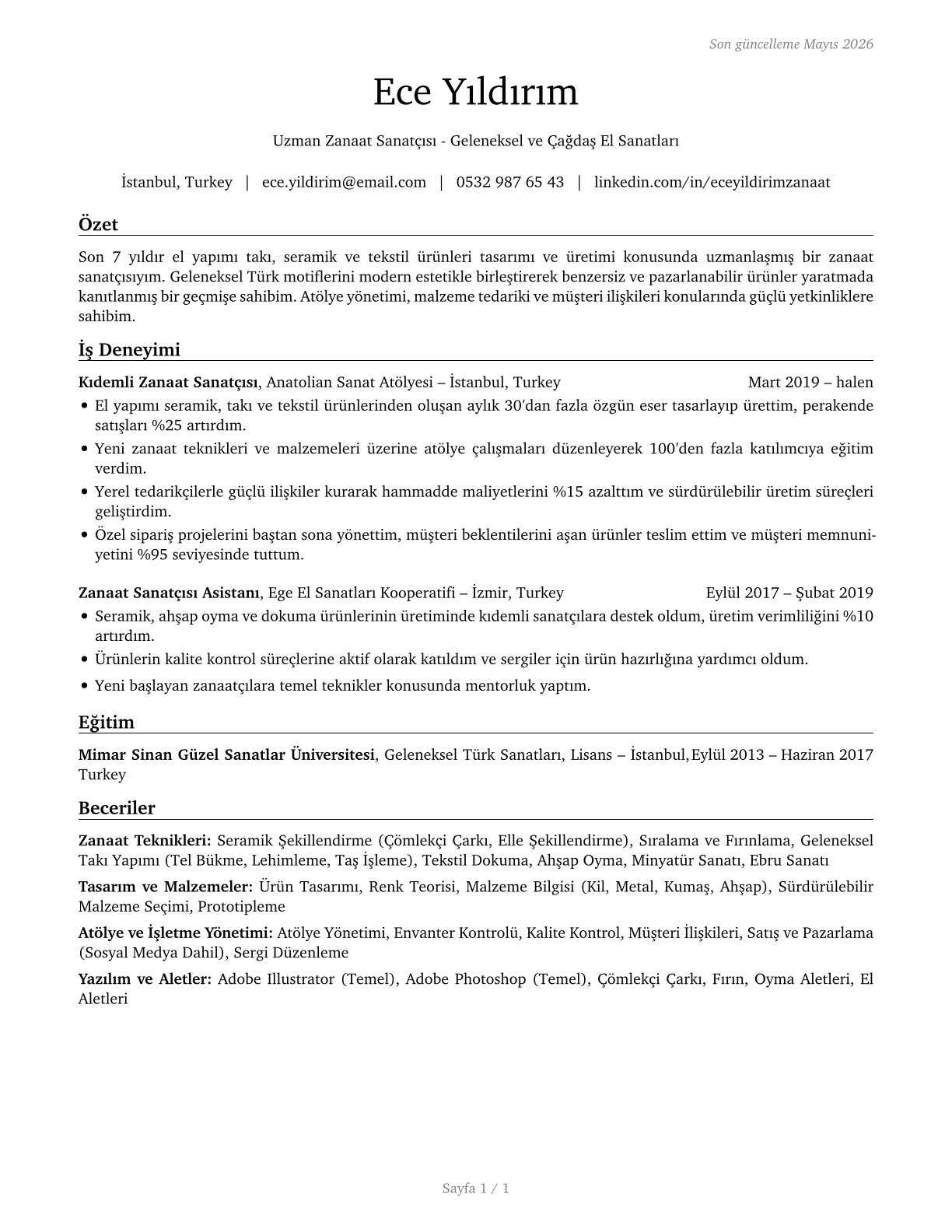 Craft Artists CV in Turkish — page 1