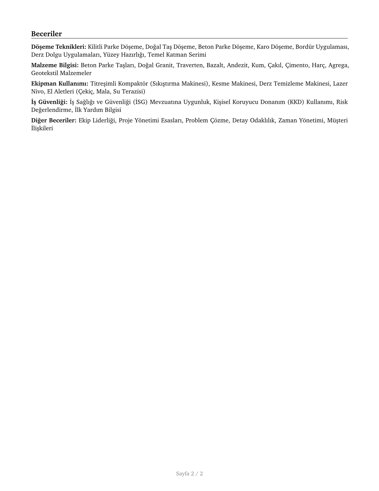 Segmental Pavers CV in Turkish — page 2