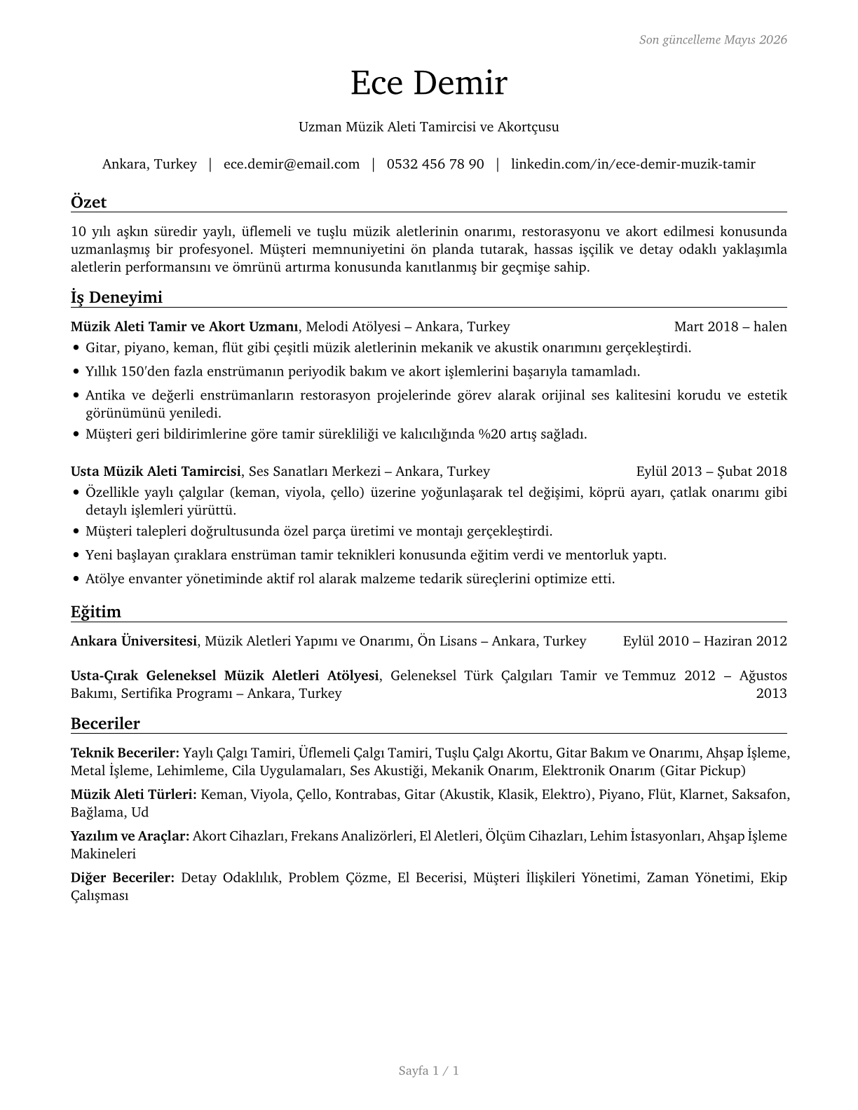 Musical Instrument Repairers and Tuners CV in Turkish — page 1