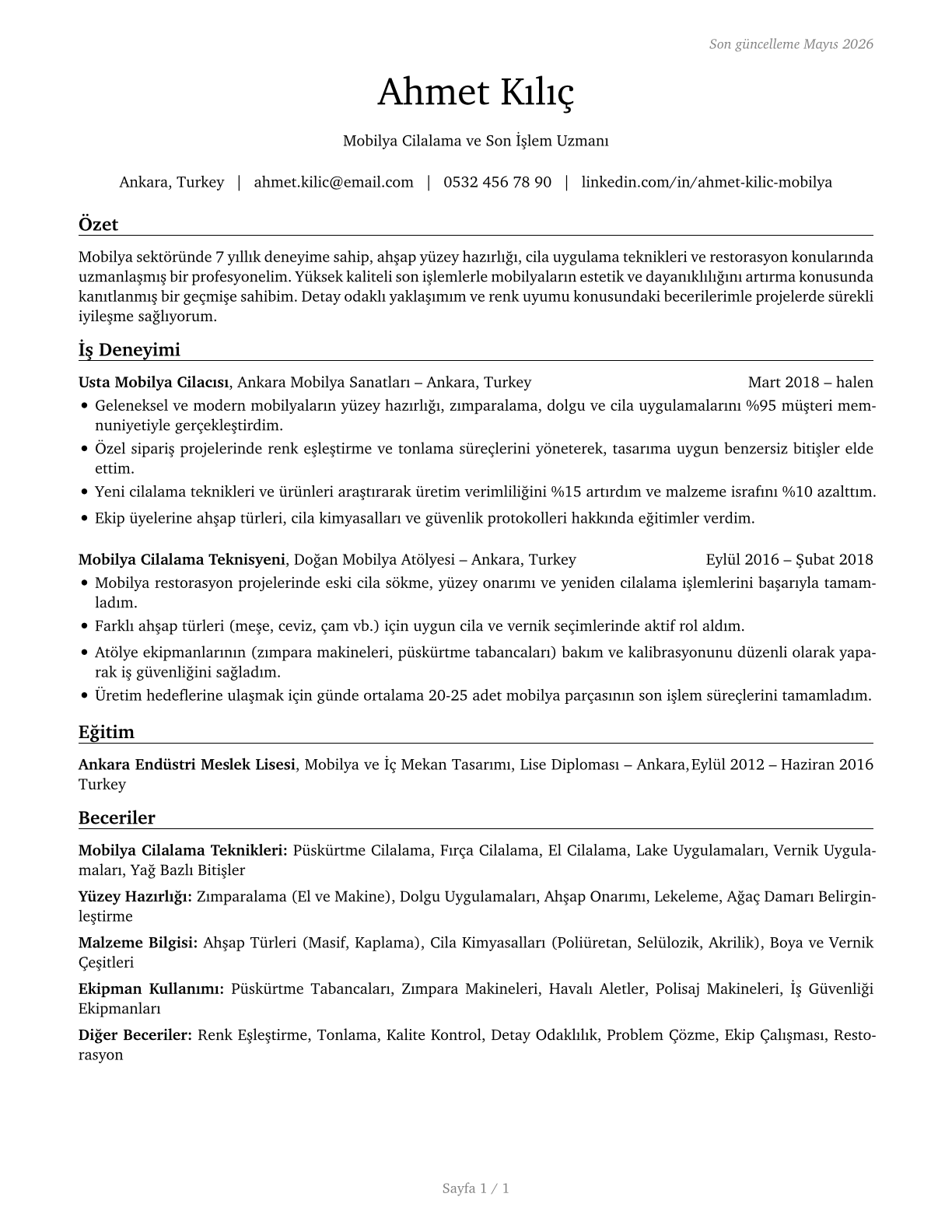 Furniture Finishers CV in Turkish — page 1