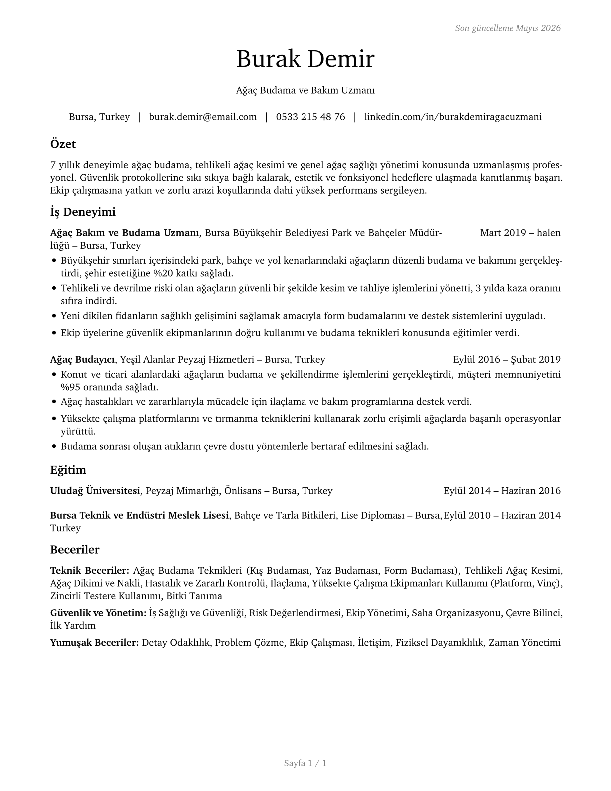 Tree Trimmers and Pruners CV in Turkish — page 1