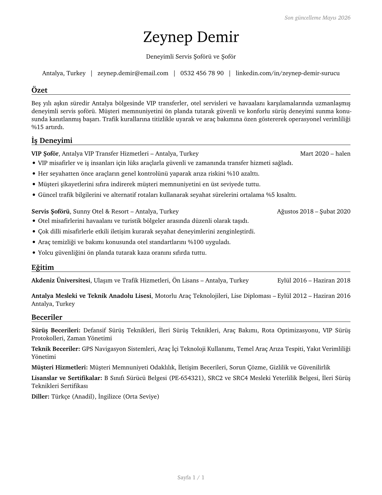 Shuttle Drivers and Chauffeurs CV in Turkish — page 1