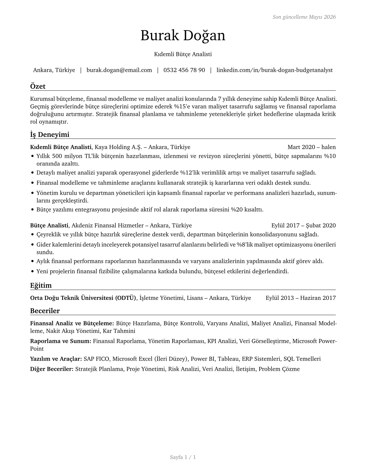 Budget Analysts CV in Turkish — page 1