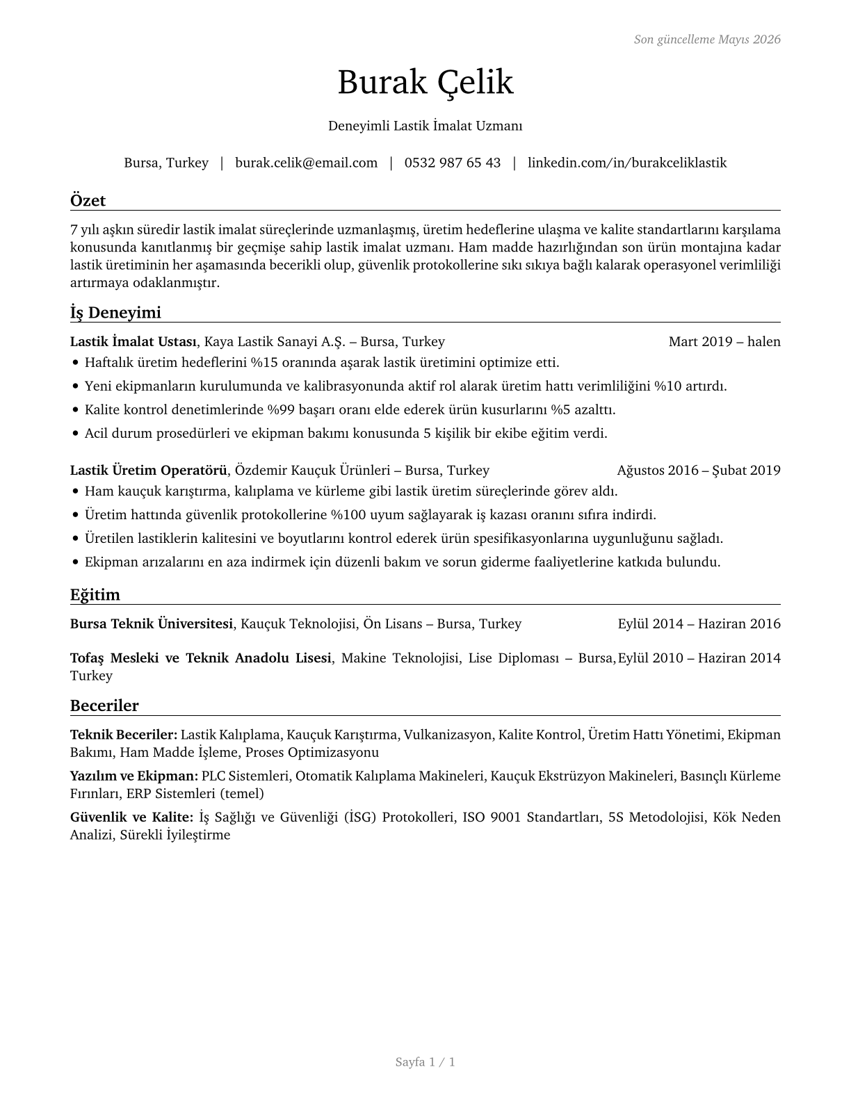 Tire Builders CV in Turkish — page 1