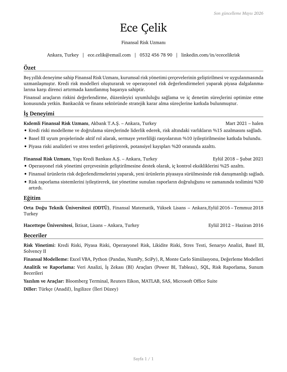 Financial Risk Specialists CV in Turkish — page 1