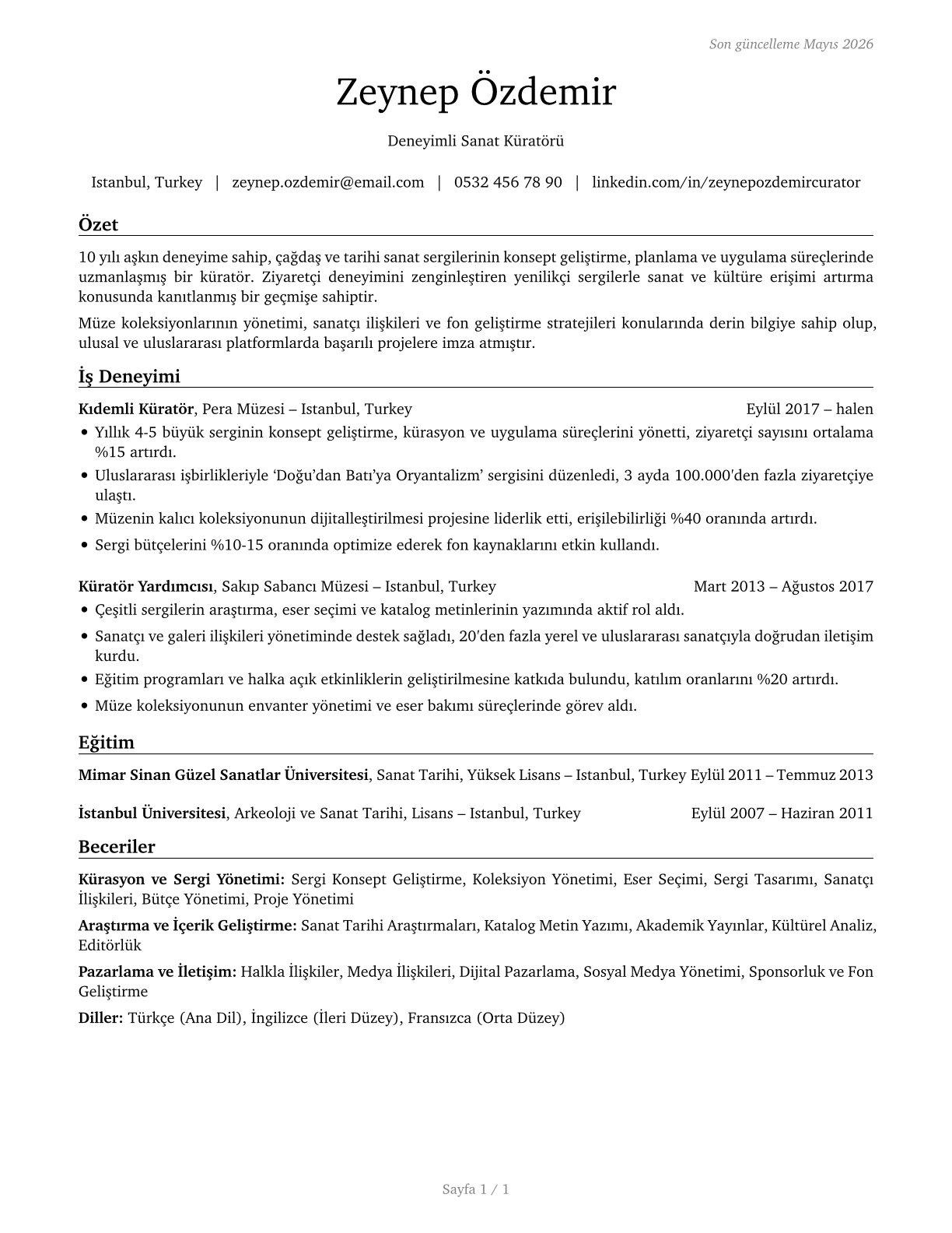 Curators CV in Turkish — page 1