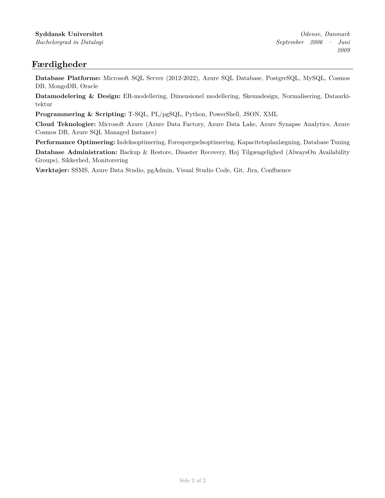 Database Architects CV in Danish — page 2