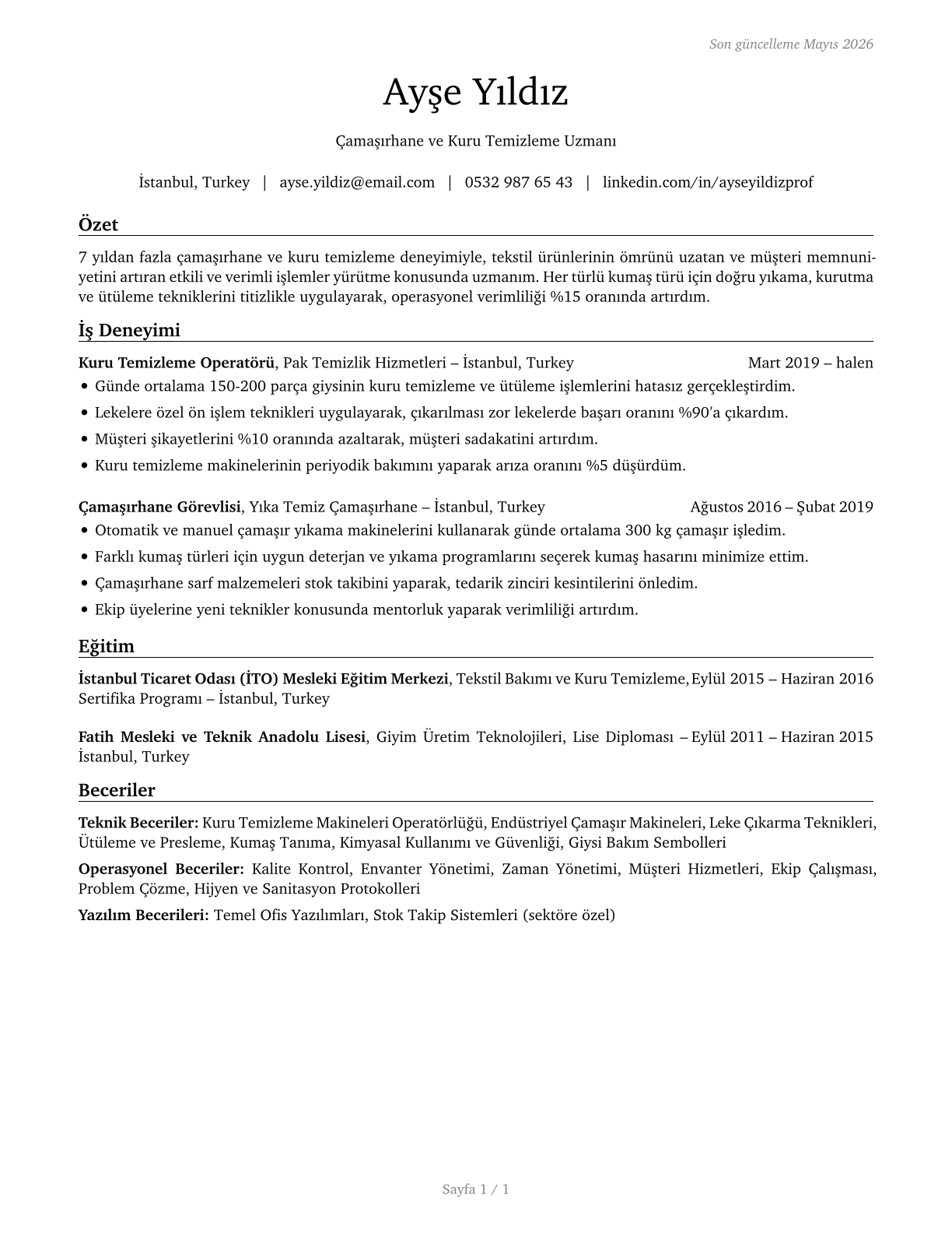 Laundry and Dry-Cleaning Workers CV in Turkish — page 1