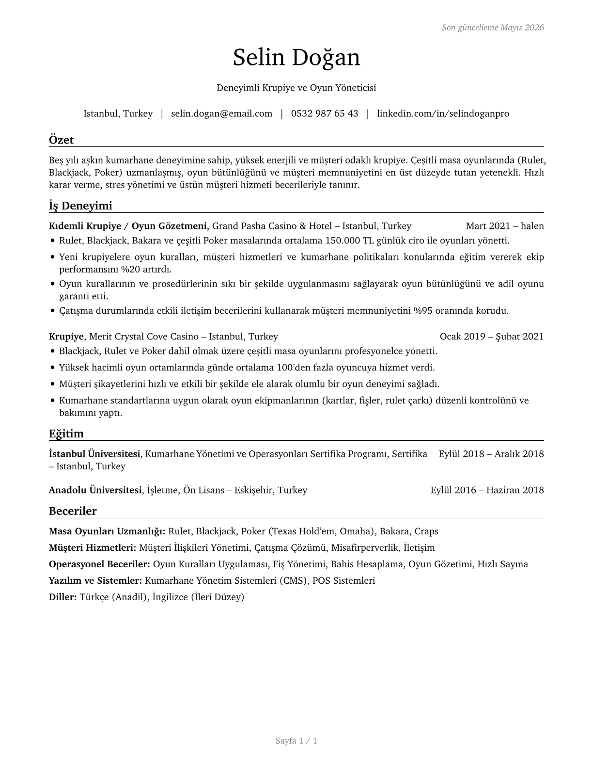 Gambling Dealers CV in Turkish — page 1