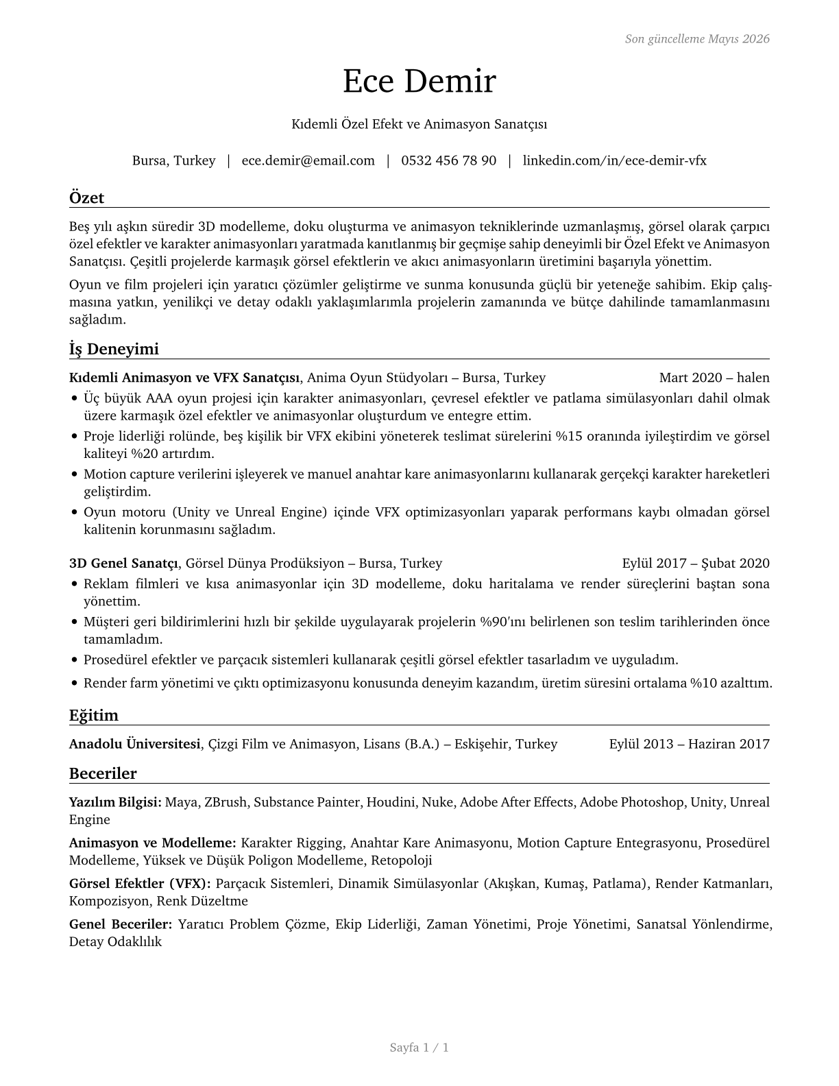 Special Effects Artists and Animators CV in Turkish — page 1