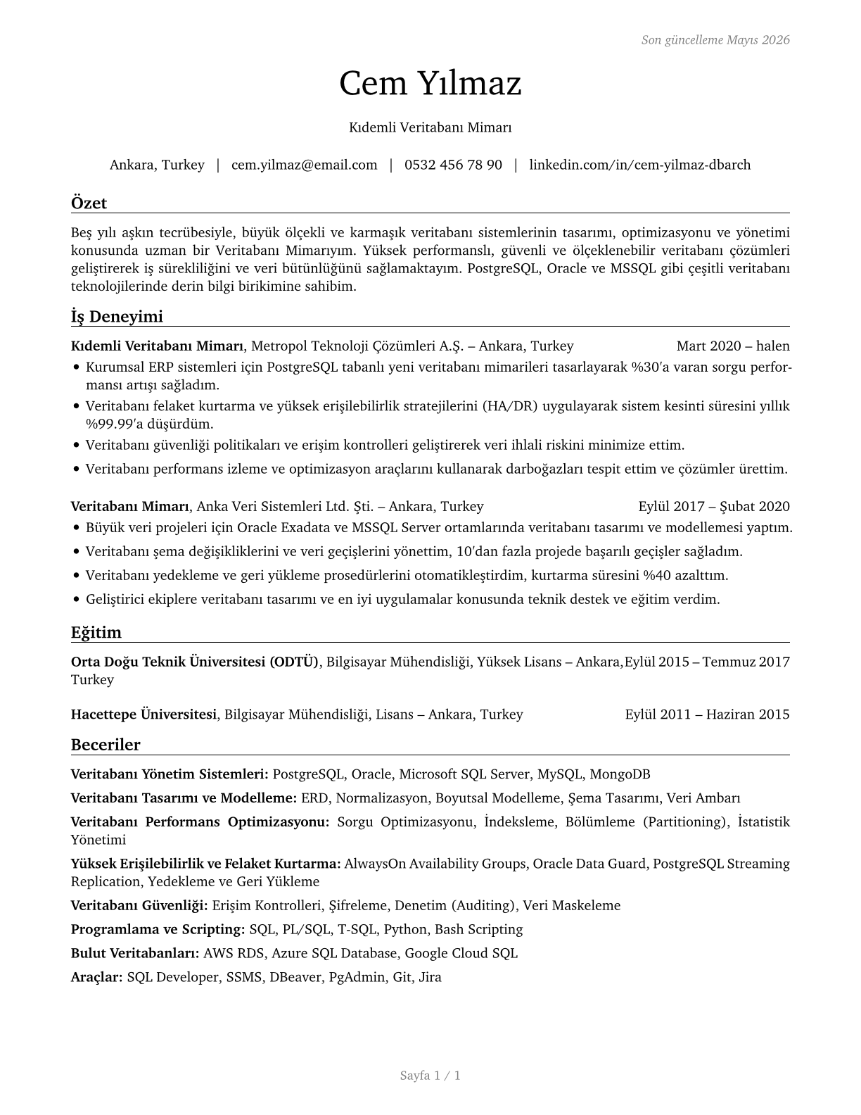 Database Architects CV in Turkish — page 1