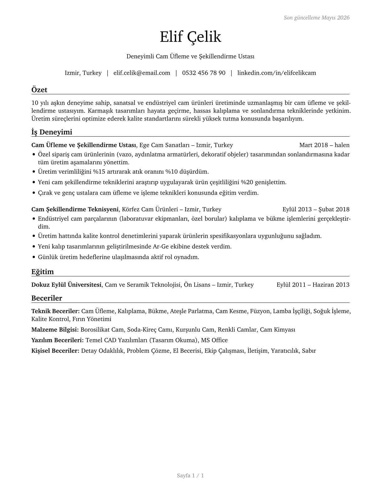 Glass Blowers, Molders, Benders, and Finishers CV in Turkish — page 1