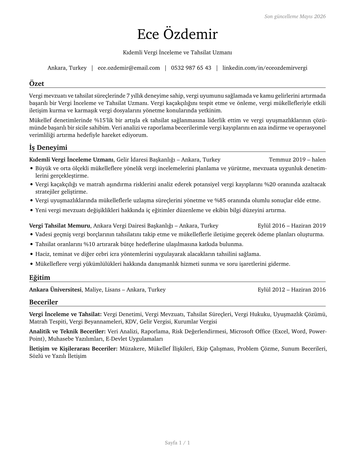 Tax Examiners and Collectors, and Revenue Agents CV in Turkish — page 1