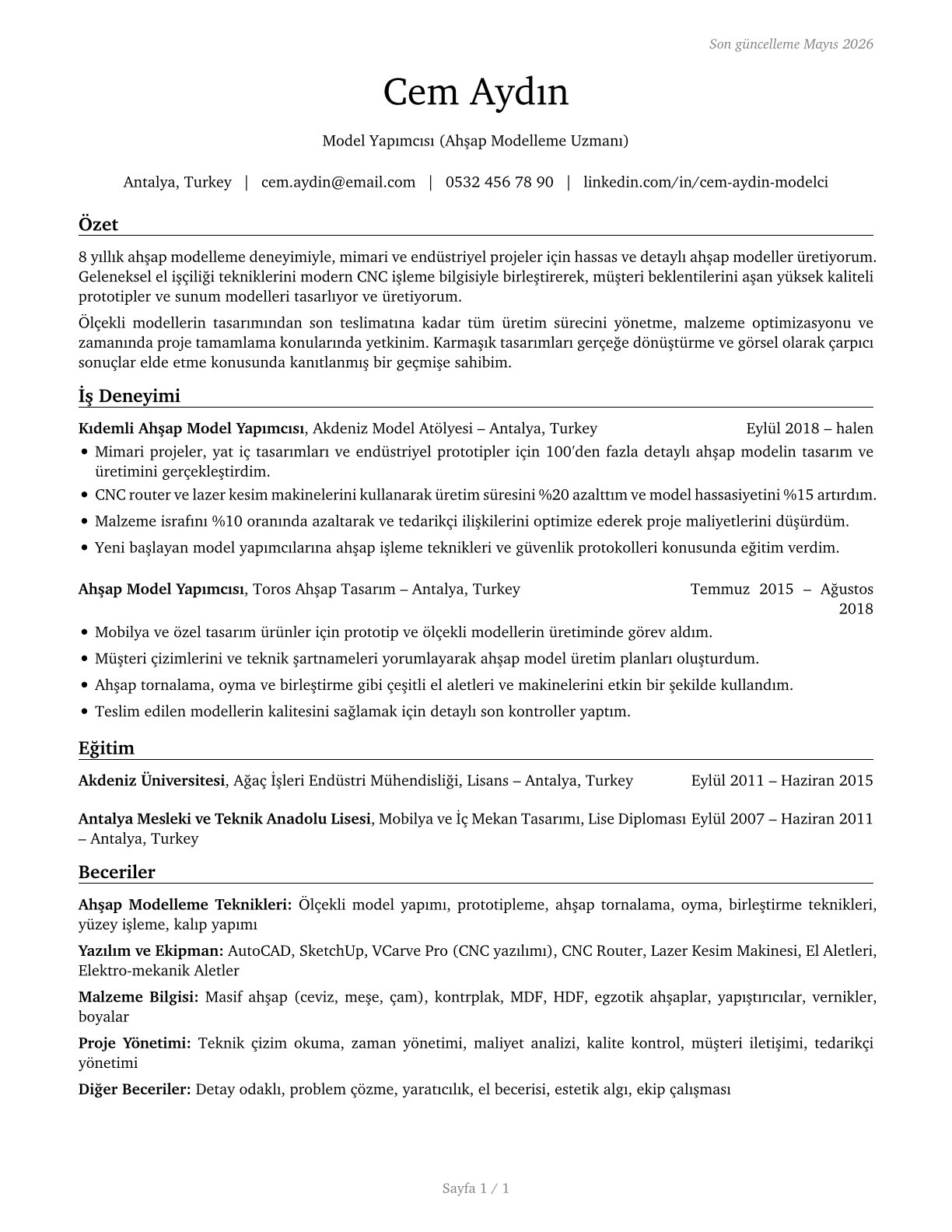 Model Makers, Wood CV in Turkish — page 1