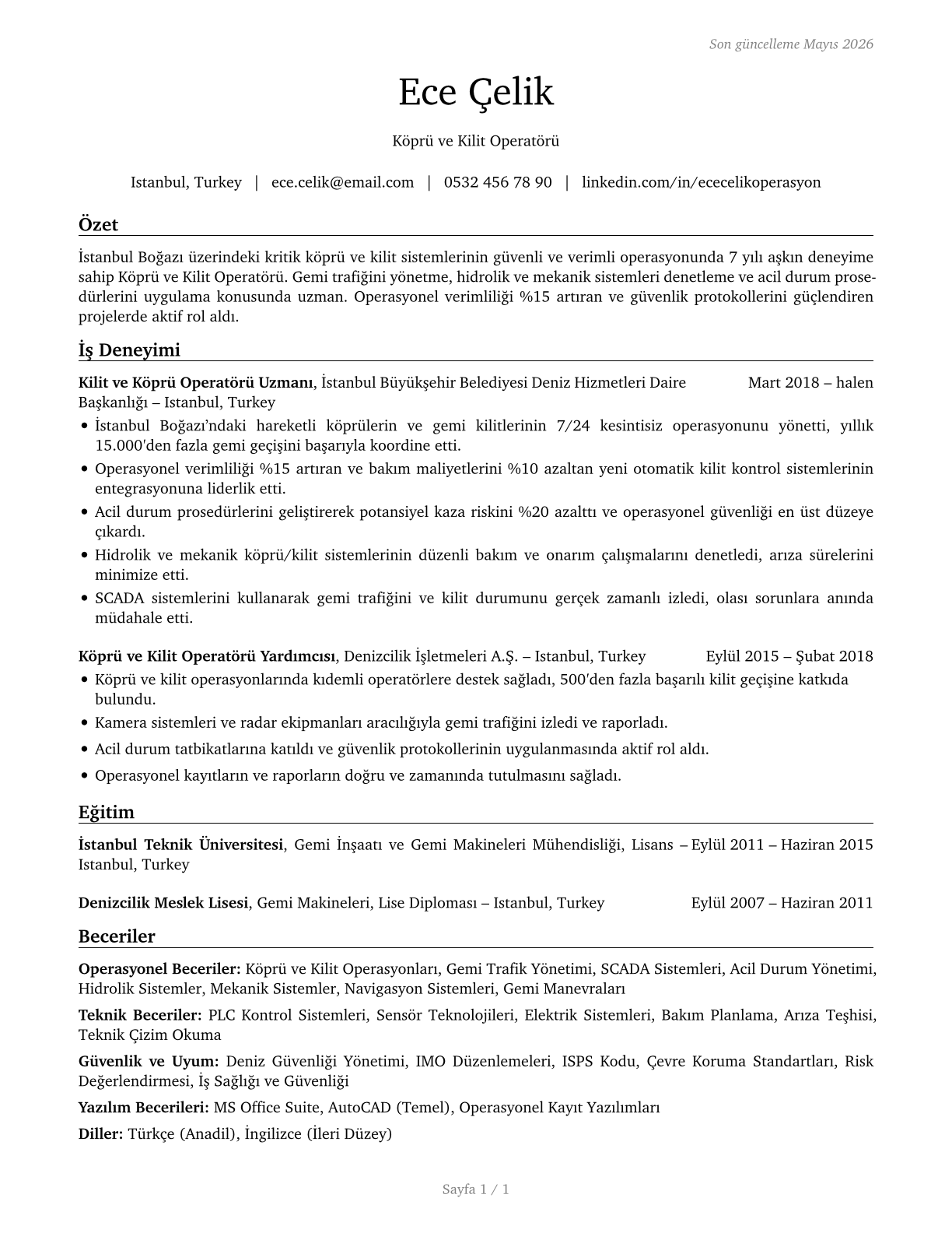 Bridge and Lock Tenders CV in Turkish — page 1