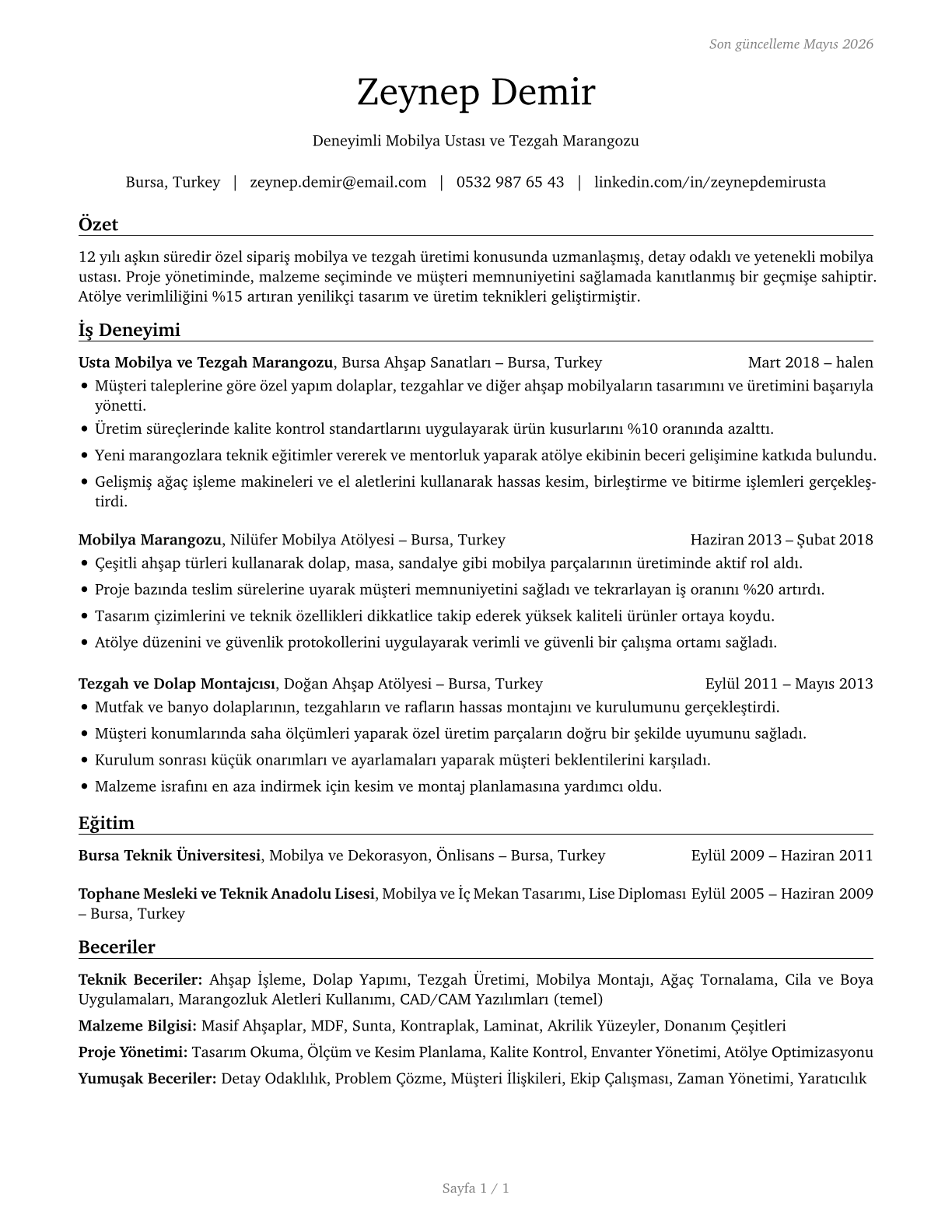 Cabinetmakers and Bench Carpenters CV in Turkish — page 1