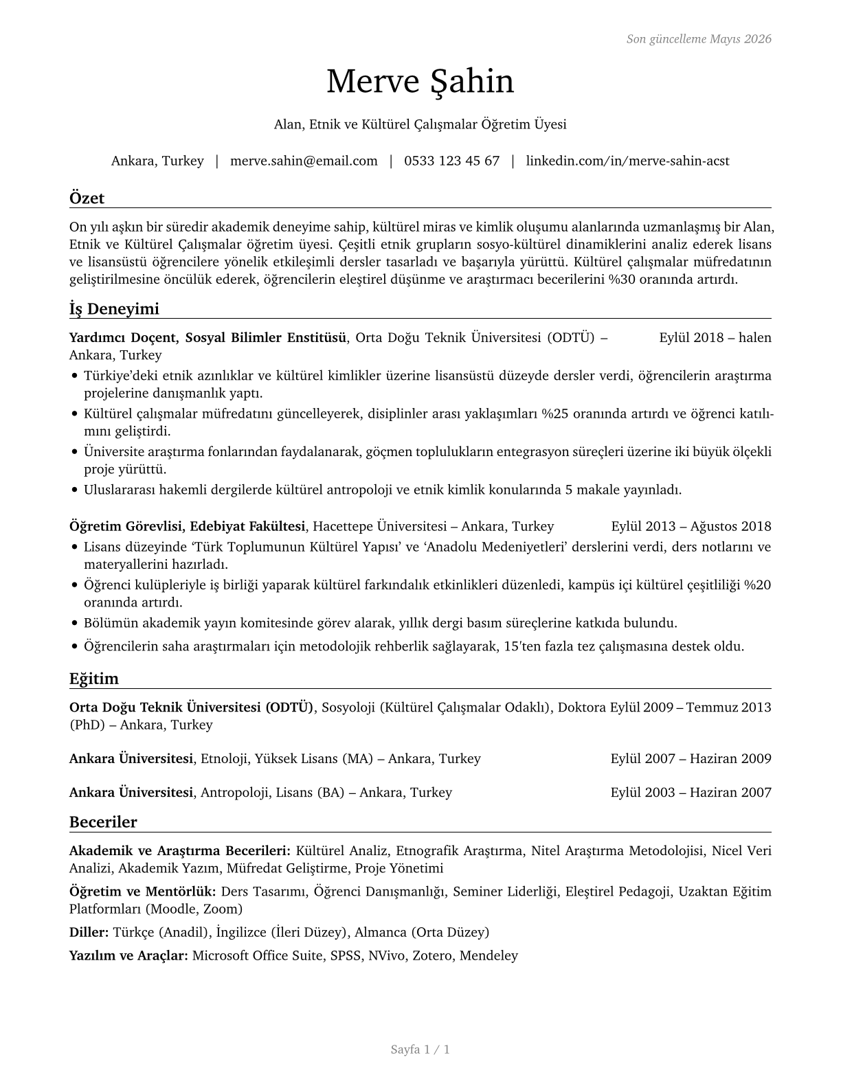 Area, Ethnic, and Cultural Studies Teachers, Postsecondary CV in Turkish — page 1