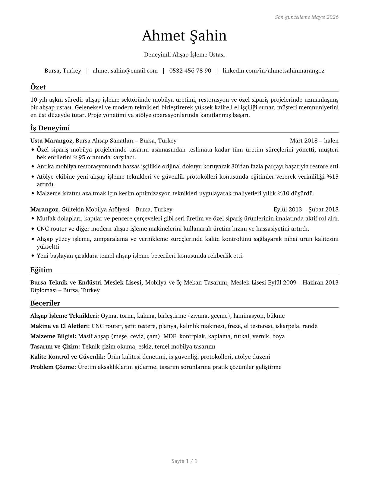 Woodworkers, All Other CV in Turkish — page 1