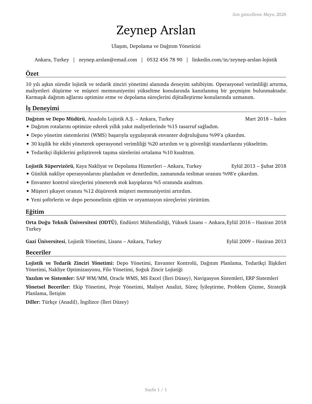 Transportation, Storage, and Distribution Managers CV in Turkish — page 1
