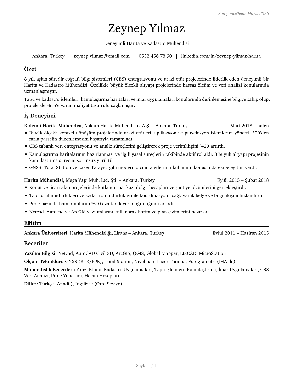 Surveyors CV in Turkish — page 1