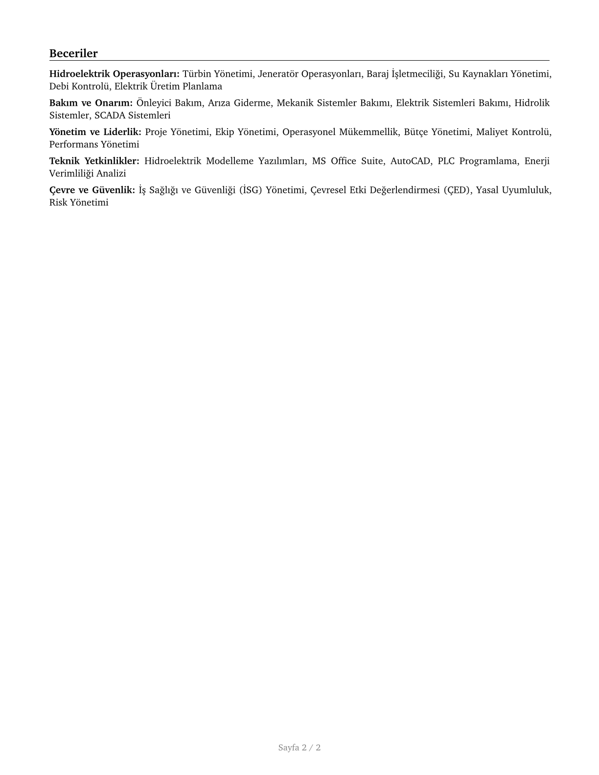 Hydroelectric Production Managers CV in Turkish — page 2