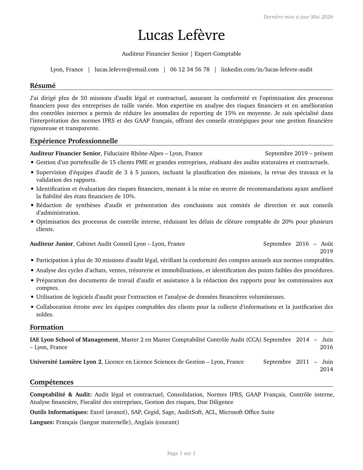 Accountants and Auditors CV in French — page 1