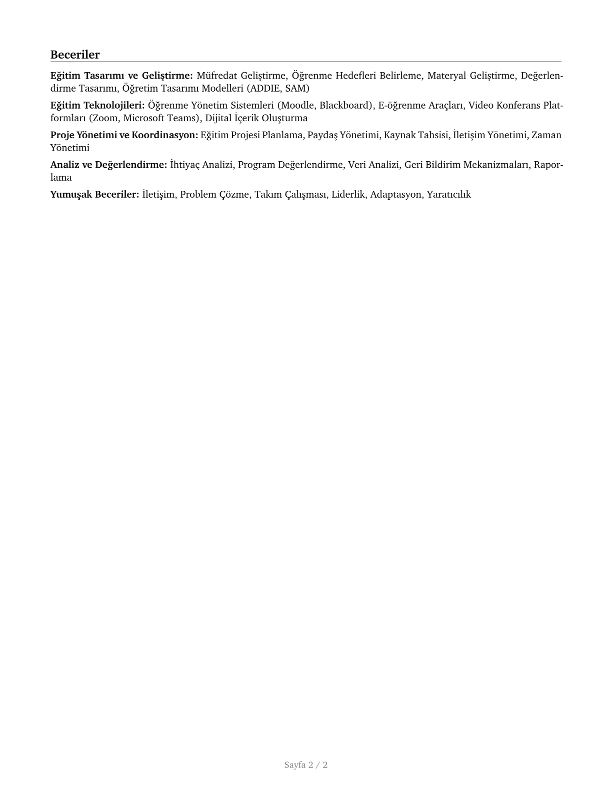 Instructional Coordinators CV in Turkish — page 2