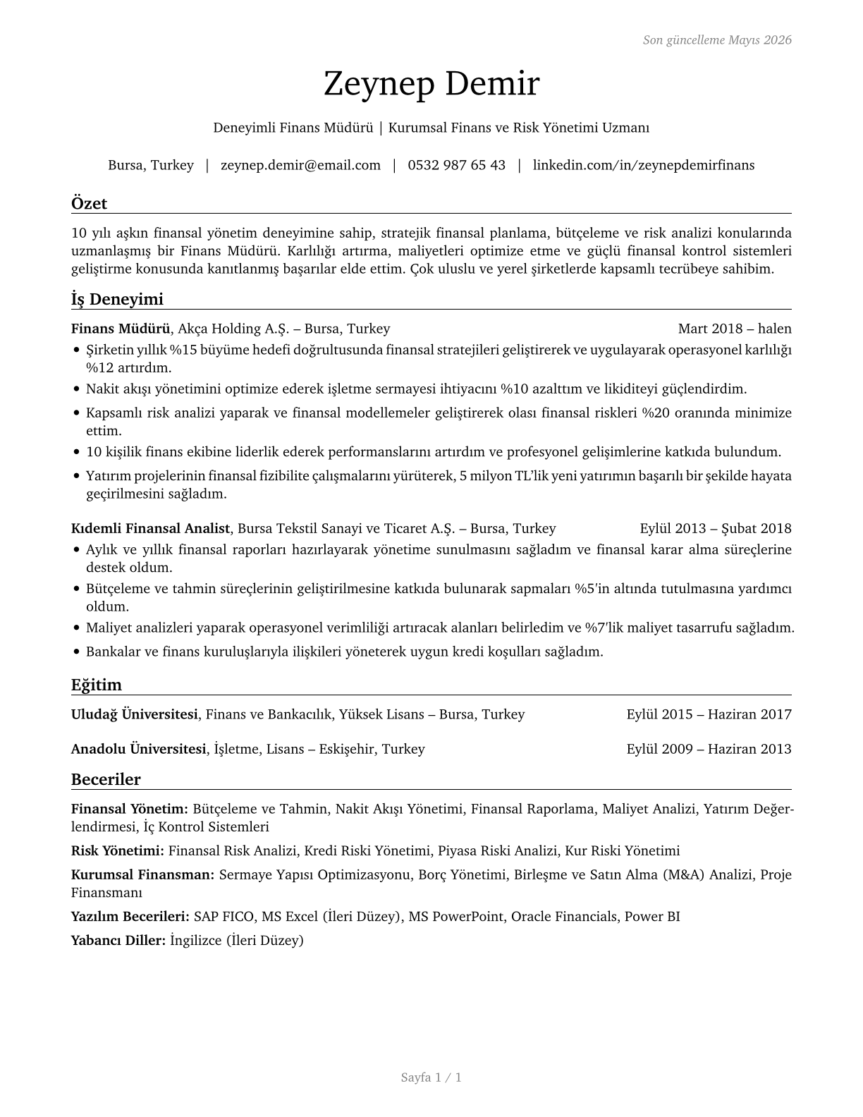 Financial Managers CV in Turkish — page 1