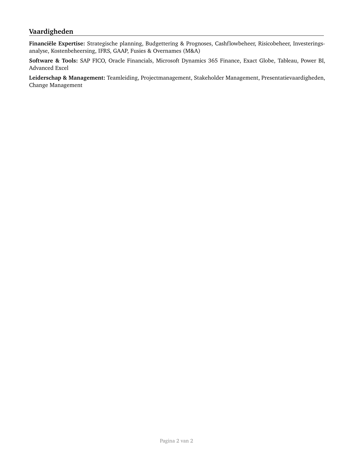Financial Managers CV in Dutch — page 2