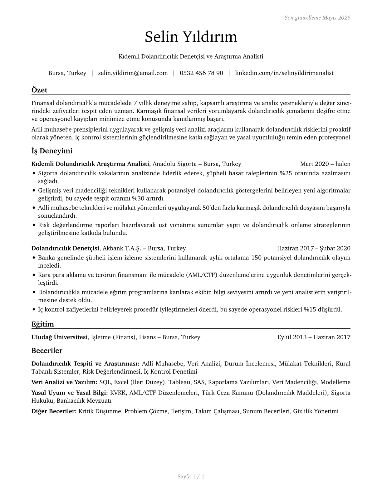 Fraud Examiners, Investigators and Analysts CV in Turkish — page 1