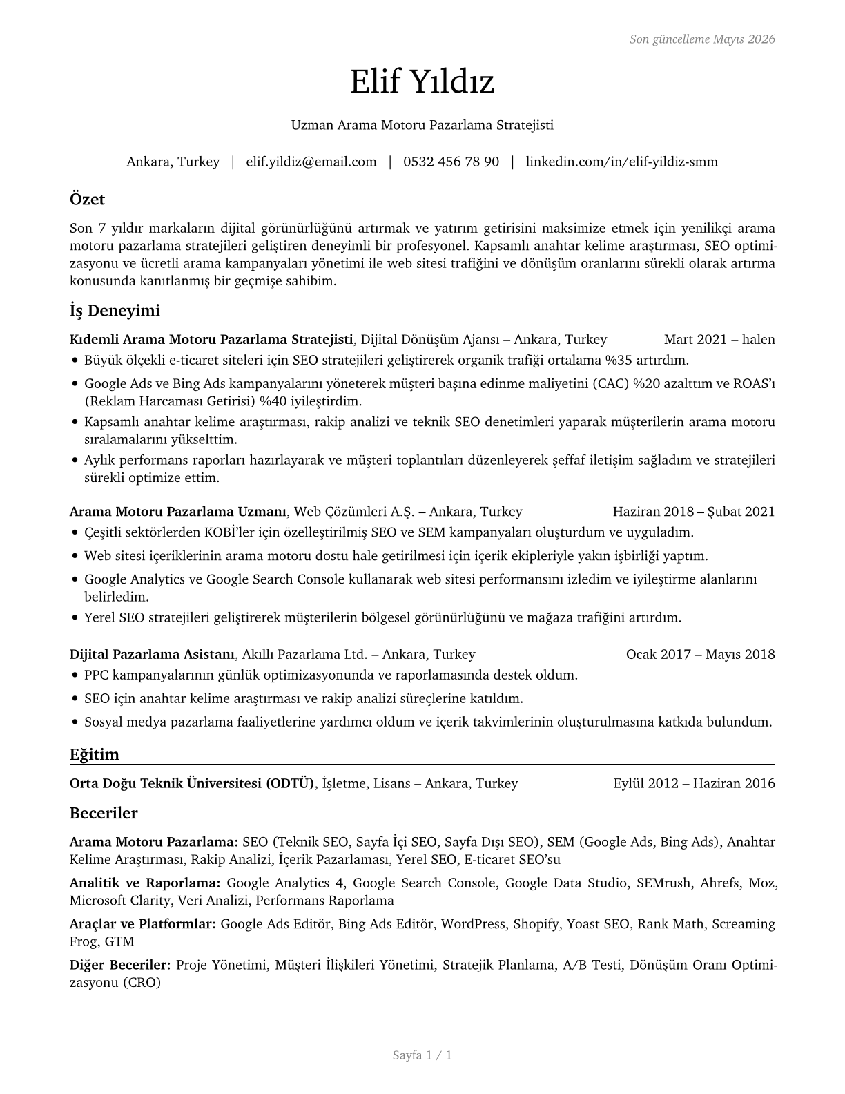 Search Marketing Strategists CV in Turkish — page 1
