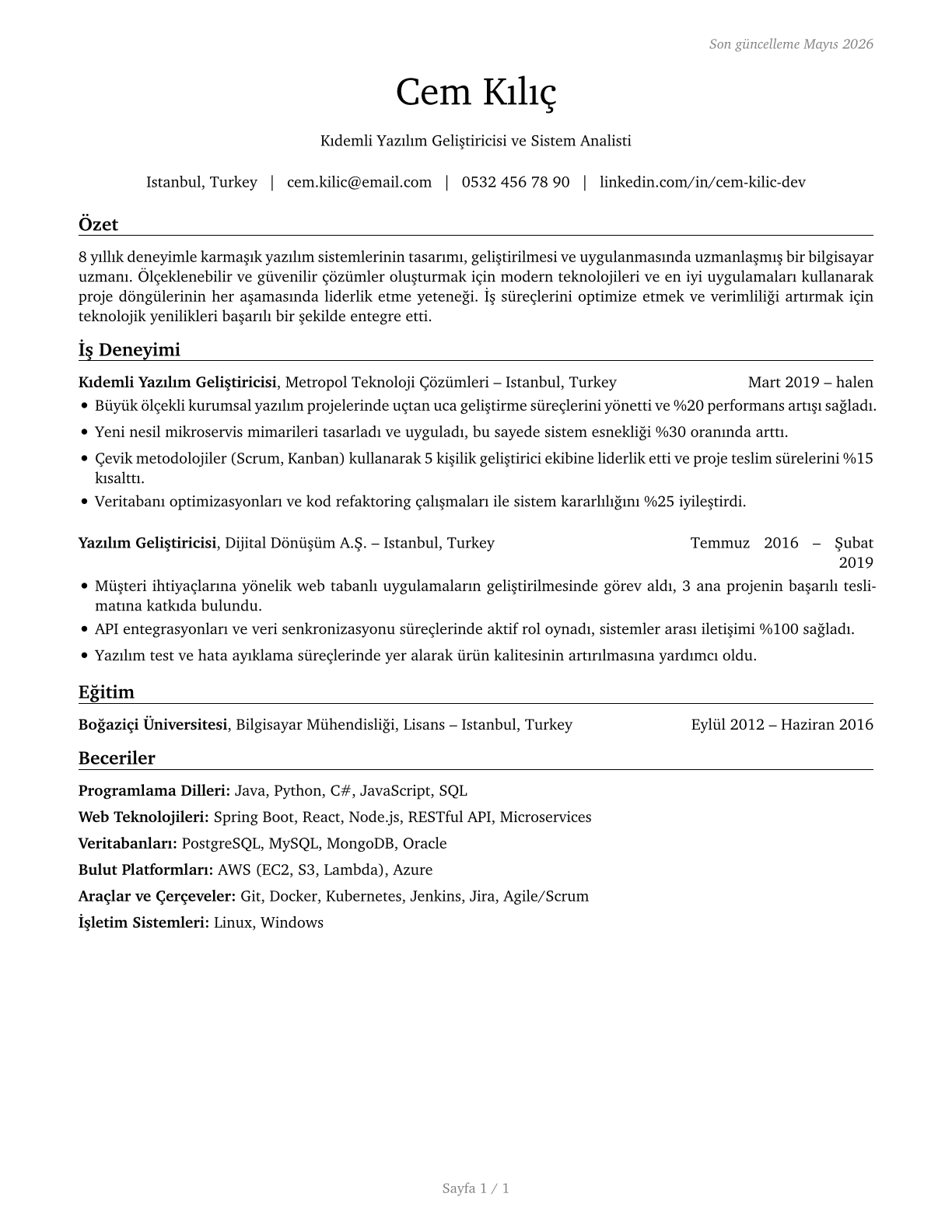 Computer Occupations, All Other CV in Turkish — page 1