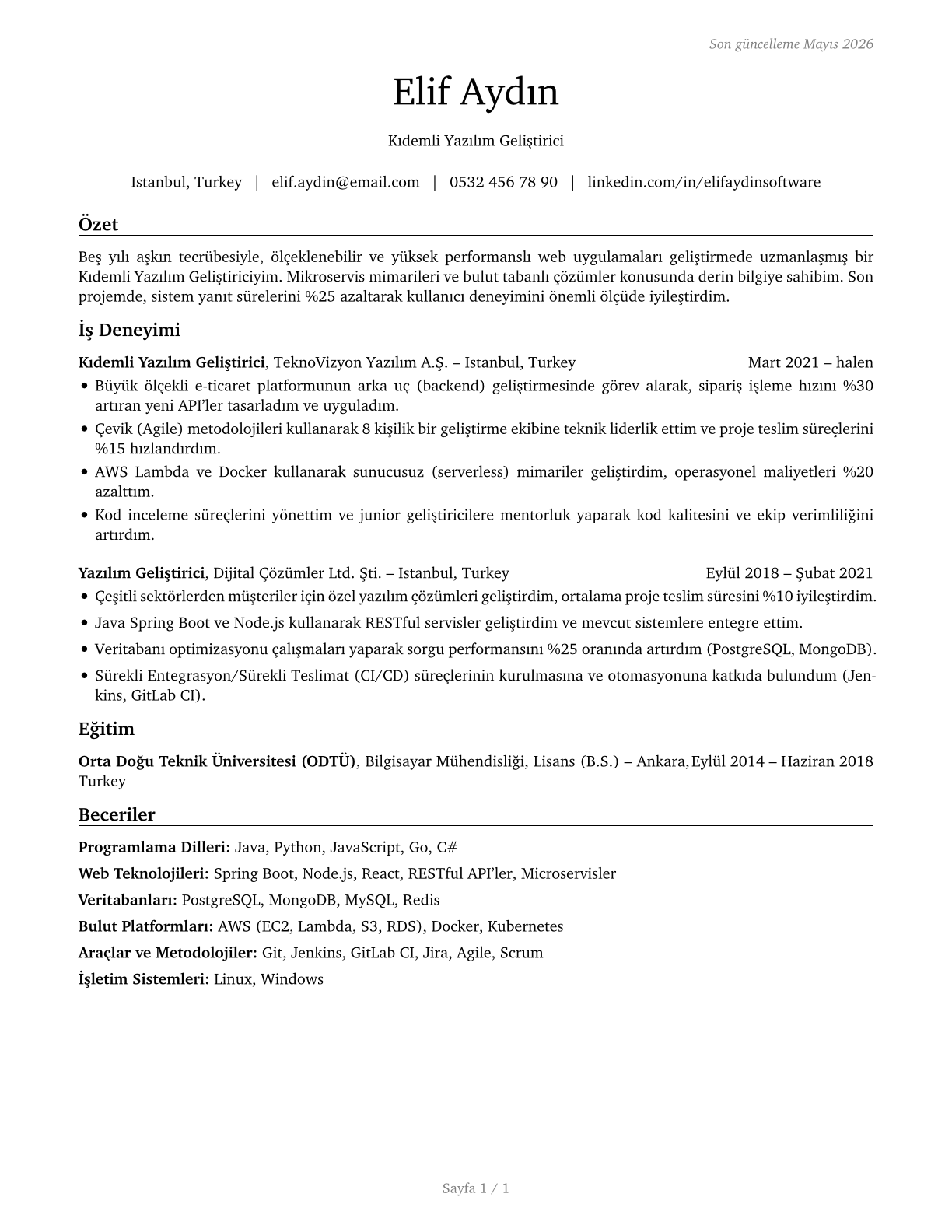 Software Developers CV in Turkish — page 1