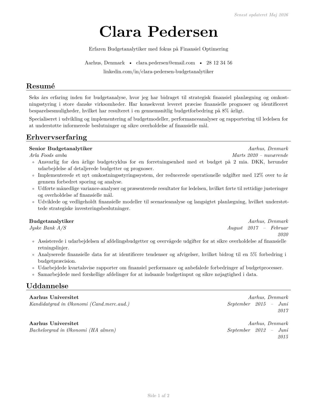 Budget Analysts CV in Danish — page 1