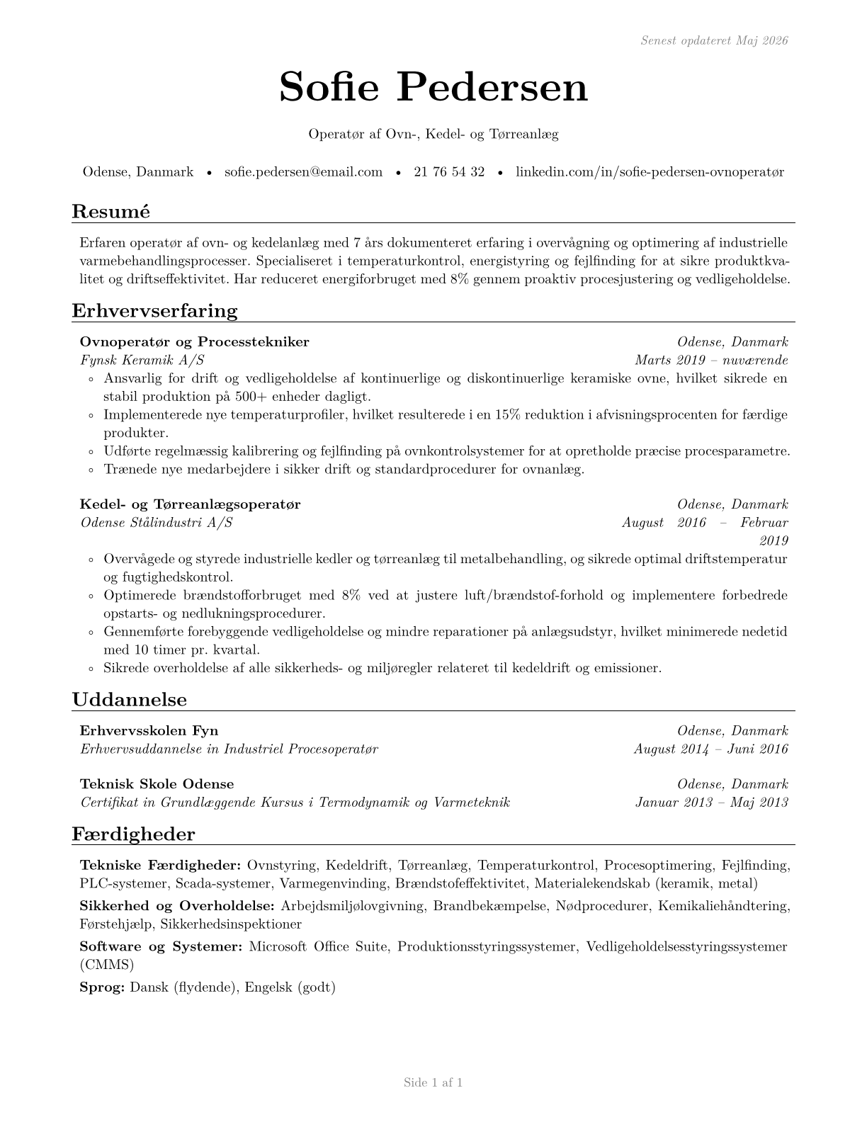Furnace, Kiln, Oven, Drier, and Kettle Operators and Tenders CV in Danish — page 1