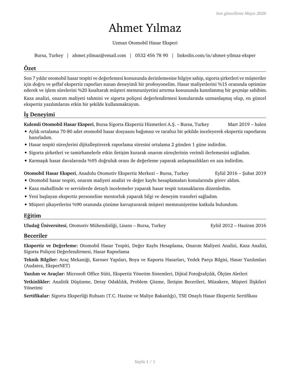 Insurance Appraisers, Auto Damage CV in Turkish — page 1