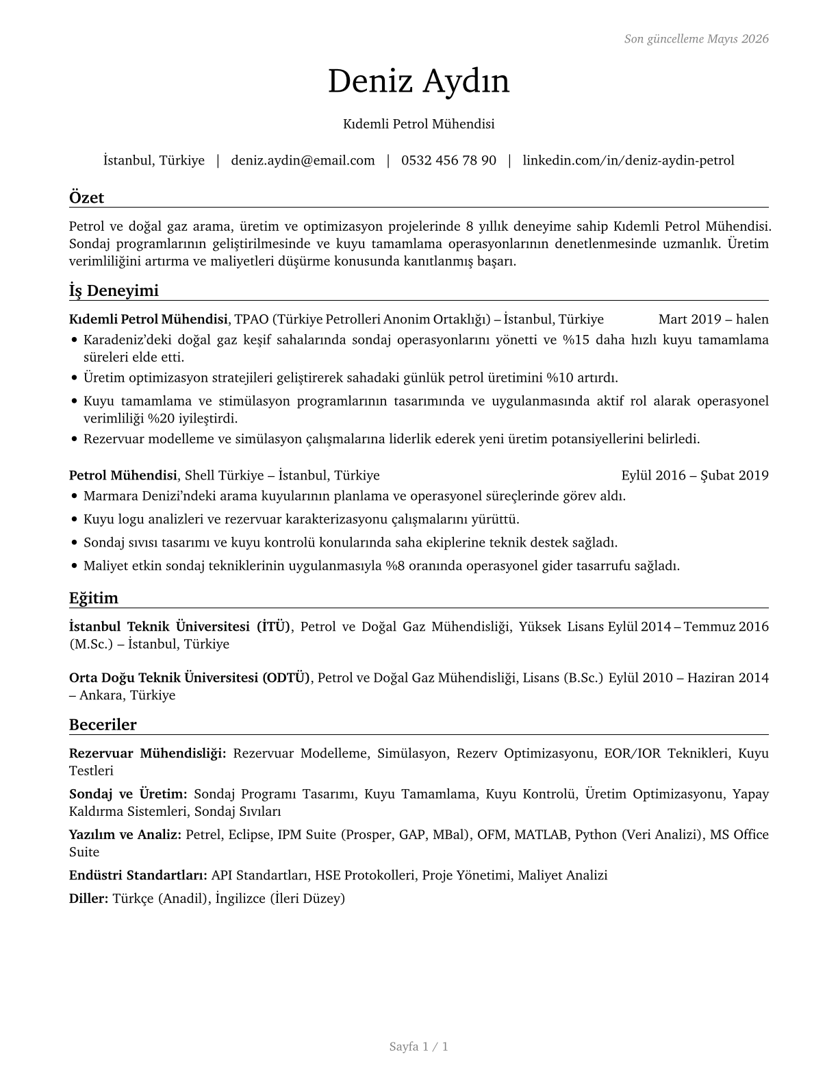 Petroleum Engineers CV in Turkish — page 1