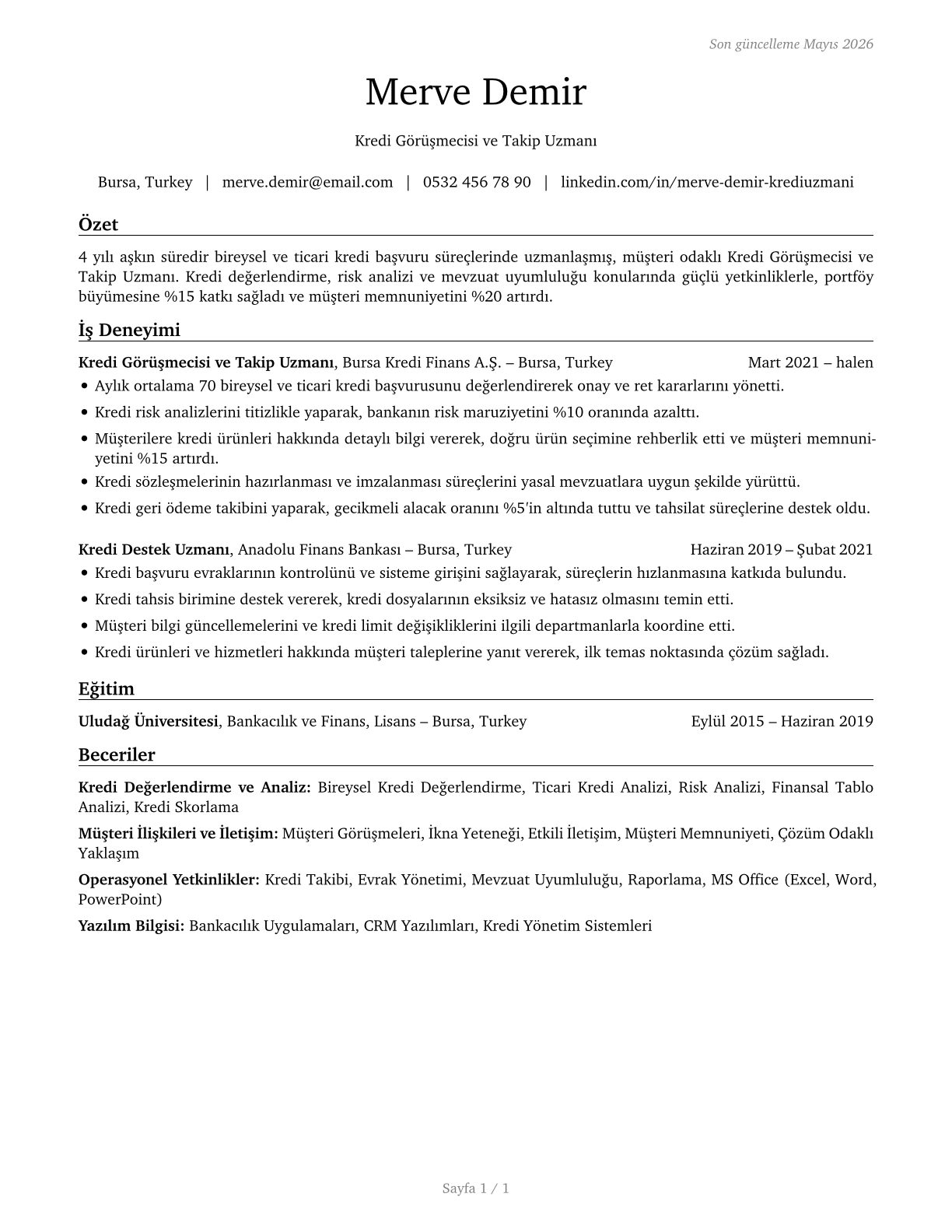 Loan Interviewers and Clerks CV in Turkish — page 1