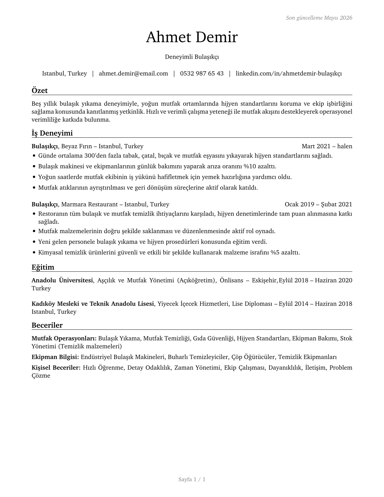 Dishwashers CV in Turkish — page 1
