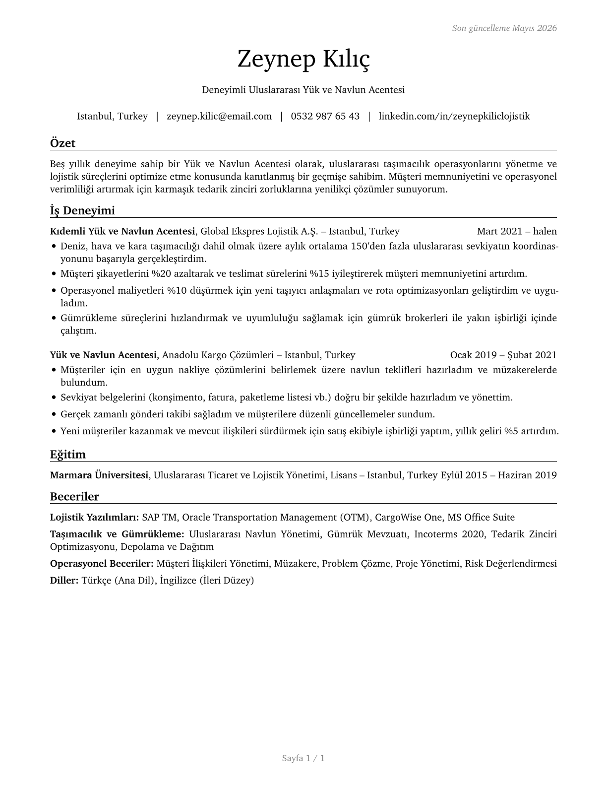 Cargo and Freight Agents CV in Turkish — page 1