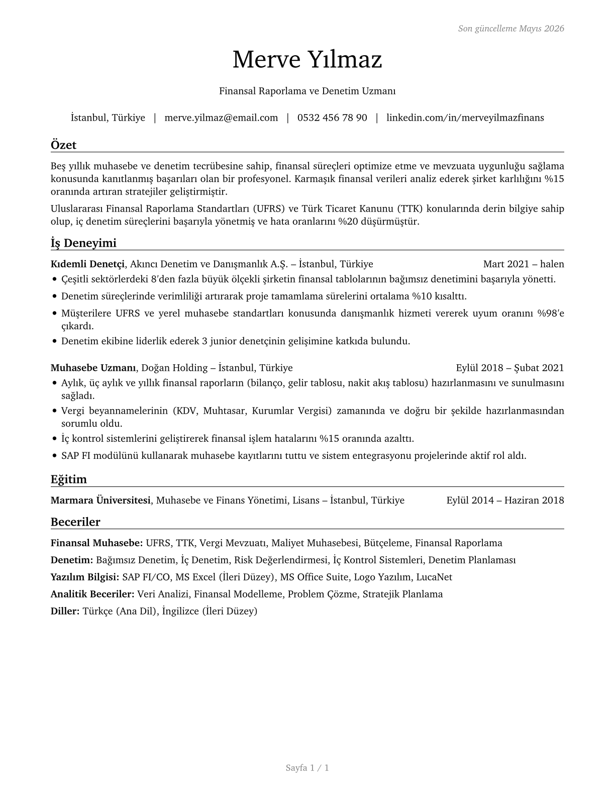 Accountants and Auditors CV in Turkish — page 1